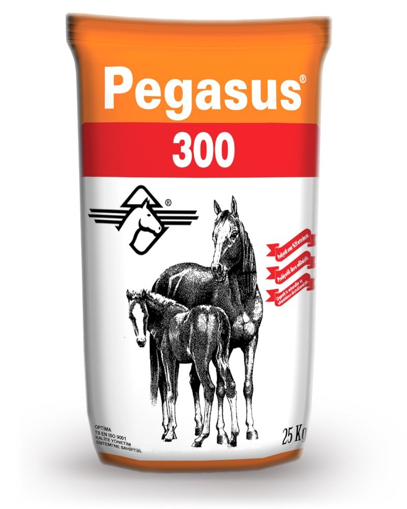 Pegasus 300 At Yemi 30 kg