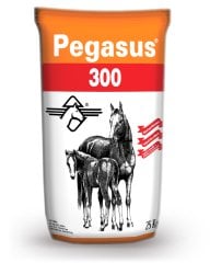 Pegasus 300 At Yemi 25kg