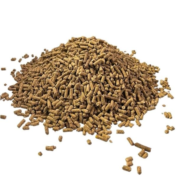 Athlete At Yemi 25kg