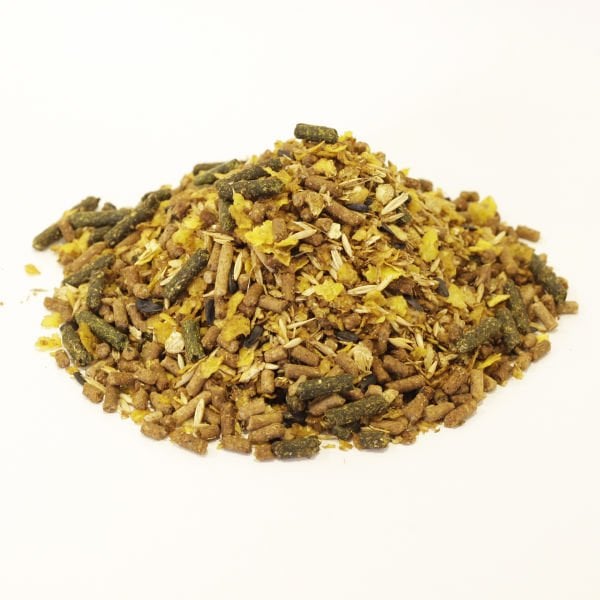 Optima Sportive At Yemi 20kg