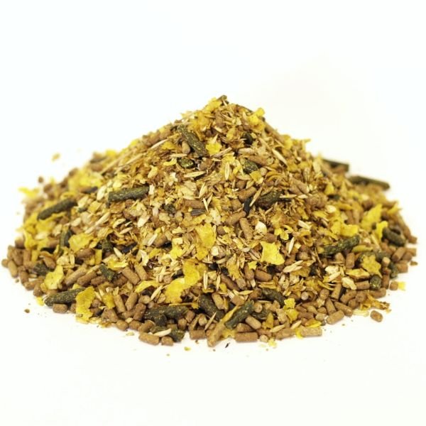 Optima Adventure At Yemi 20 Kg