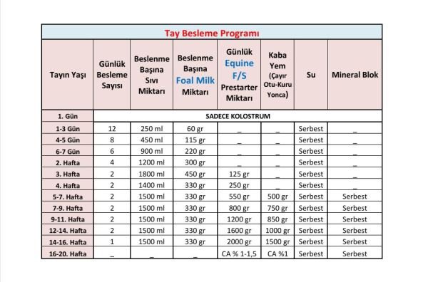 Foal Milk Replacement 10kg (Tay Sütü)